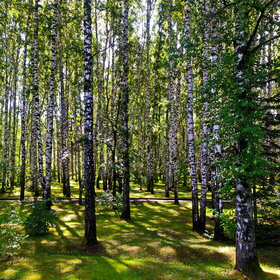 �������