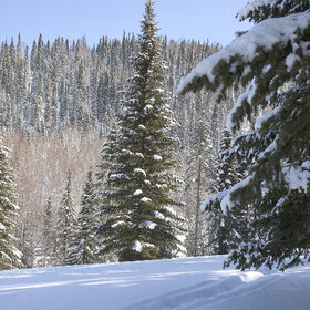 ���������� �� �����������