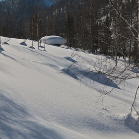 ���������� �� �����������