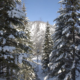 ���������� �� �����������