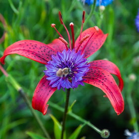 �������