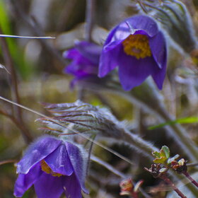 �������