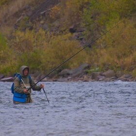 ���������� �� �����������