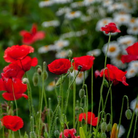 �������