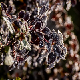 �������