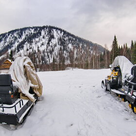 �����������