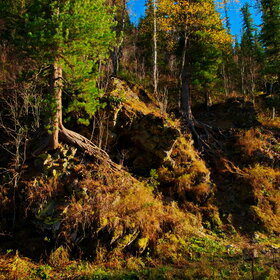 ���������� �� �����������