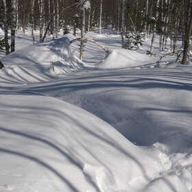 ���������� �� �����������