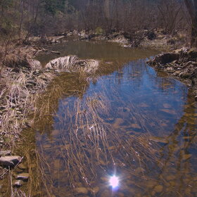 �������