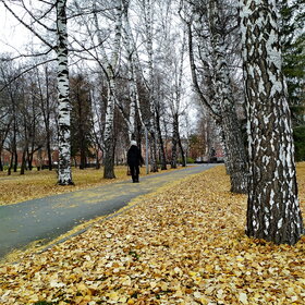 �������