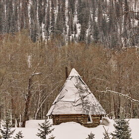 �����������