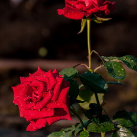 �������