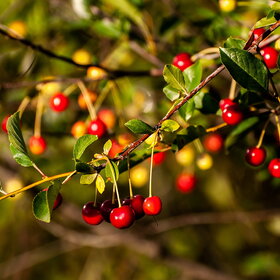 �������