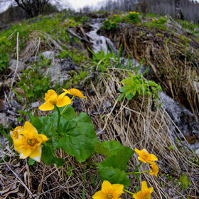 �������