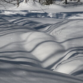 ���������� �� �����������