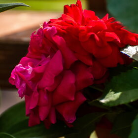 �������