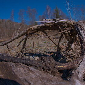 �������