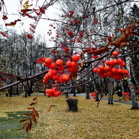 �������