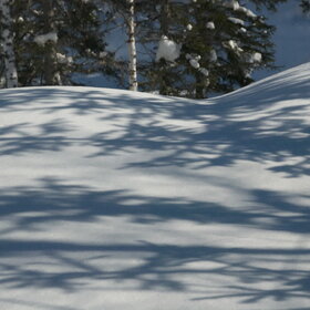 ���������� �� �����������