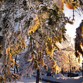 �������