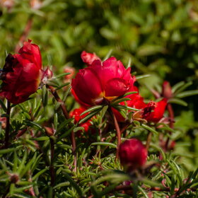 �������