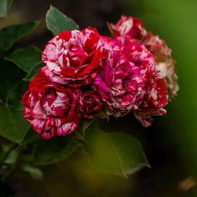 �������