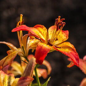 �������