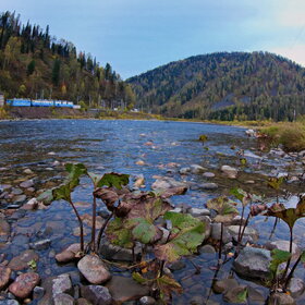 ���������� �� �����������