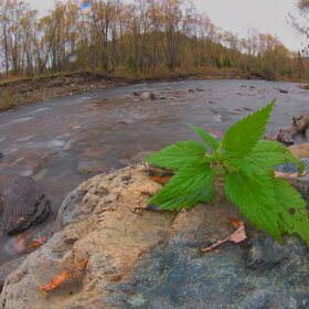 ���������� �� �����������