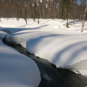 ���������� �� �����������