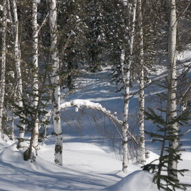 ���������� �� �����������