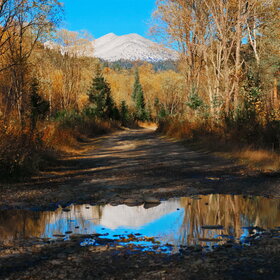 ���������� �� �����������