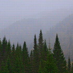 ���������� �� �����������