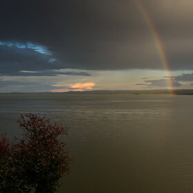 �������