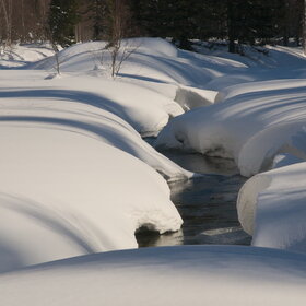 ���������� �� �����������