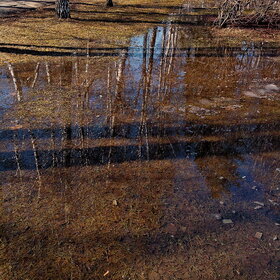 �������