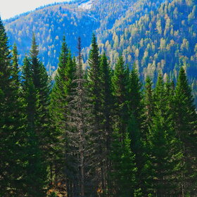 ���������� �� �����������