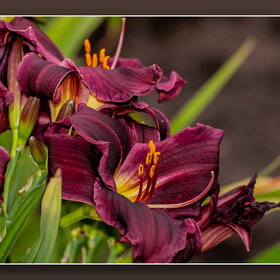 �������