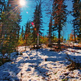 ���������� �� �����������