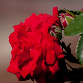 �������