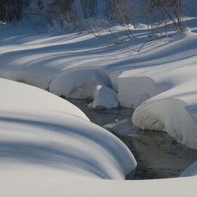 ���������� �� �����������