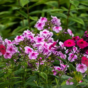 �������