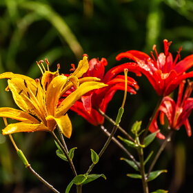 �������