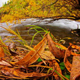 ���������� �� �����������