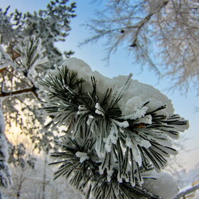 �������