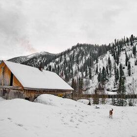 ���������� �� �����������