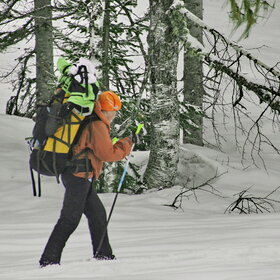 ���������� �� �����������