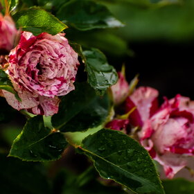 �������