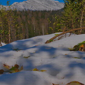 ���������� �� �����������