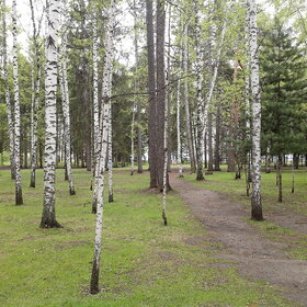 �������